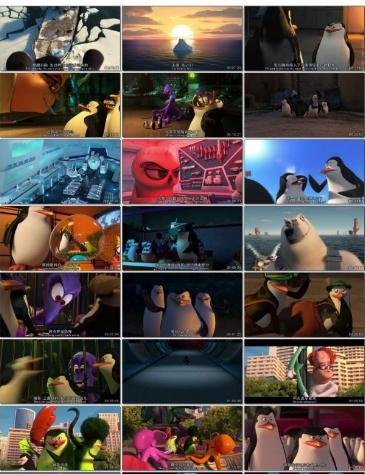 《企鹅四贱客：拯救大行动》-动画电影，纽约动物园，特工任务，友情团队，冒险之旅视频大小/数量