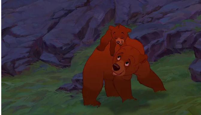 《熊的传说:换位思考与平等》-视频大小/数量:1部