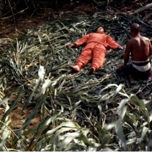 《红高粱》经典之作：张艺谋执导，九儿、十八里坡，土匪，秃三炮，视频大小/数量