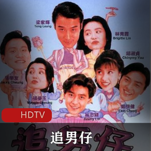 《追男仔》经典动作喜剧1993年王晶作品,林青霞梁家辉张曼玉张学友,国语中字版,温情故事,推荐下载观看