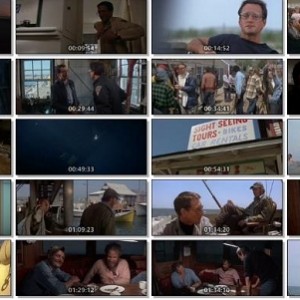 《大白鲨》系列合集：4部经典灾难惊悚电影免费分享