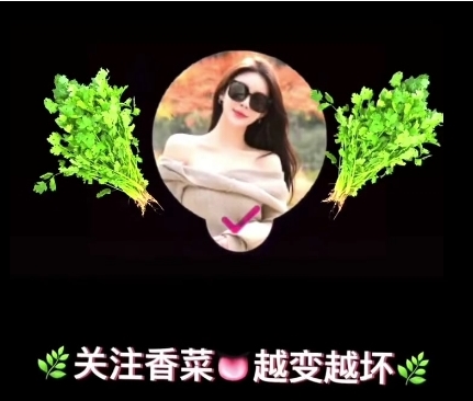 微博海归大师《x学先生》王者归来新作