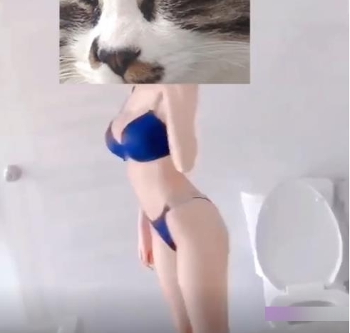 九一女神黑丝网袜主播