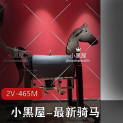小黑屋-最新骑马抽C-女N双女互T69+[2V-465M]