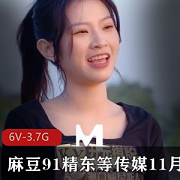 麻豆91精东等传媒11月24日更新作品