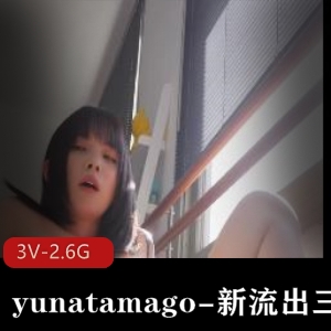 yunatamago-新展示三部（下蛋-新P机-双人-完整版） [3V-2.6G]