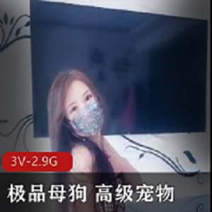 优质小狗 高级宠物 SM 跪舔饮尿 狗链教育【3V-2.9G】