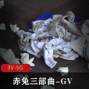 赤兔三部曲-GV+[3V-5G]