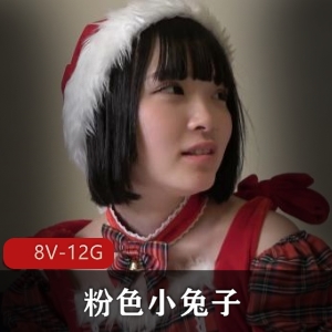 续上一贴 粉色小兔子另三部作品无圣光 8V-12G