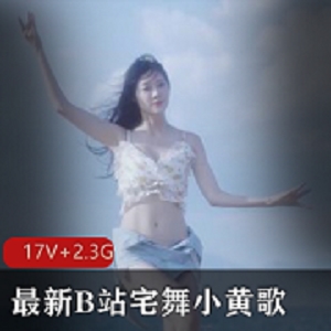 最新B站宅舞小黄歌 [17V+2.3G]