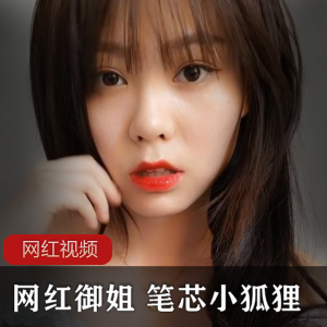 网红御姐+笔芯小狐狸作品十一部