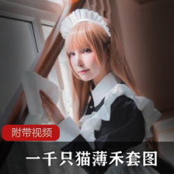 一千只猫薄禾四套作品