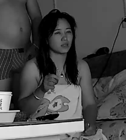 家庭摄像头破解+截至3月+377g合集