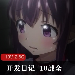 阿黑颜神作开发日记10部全系列汉化合集 [10V2.8G]