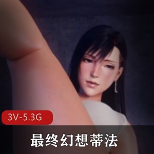 最终幻想蒂法 Tifa 3D合集 [4V3G]