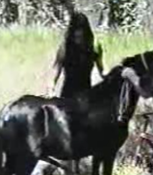 免费价！27G马合集视频分享，涵盖127个视频，解压密码留言获取