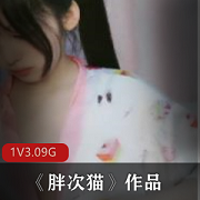 虎牙美女胖次猫直播资源3.09G，互动打赏福利舞蹈满足粉丝要求