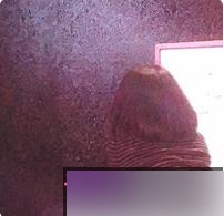 推特小姐姐@一只喔彩虹/DADIBABAO的日常推文