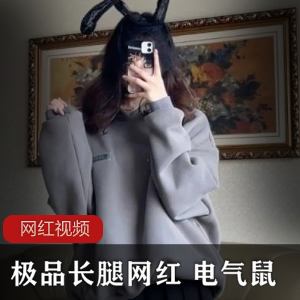 绝美长腿网红电气鼠28部作品小合集，总大小59MB