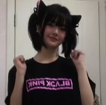 抖音风小羊合集220V下载，1.04G