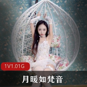 超美女神月暖如梵音社保作品：300P图片+4V视频，1.01G实战战斗力首发