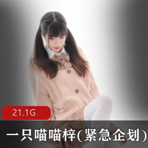P站美腿小仙女喵喵梓紧急企划合集，清纯可爱高颜值服装，21.1G视频大小，20套资源