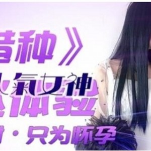 精东传媒高清无圣光剧情片合集32V-38.6G，支持视频发展！