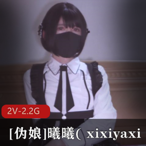 推特伪娘曦曦12月作品：打野女仆装2V，房间黑丝自娱自乐+公园长椅，2.2G资源，高兴看法