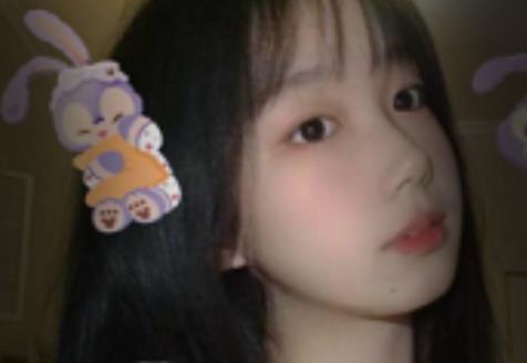 抖音网红草莓味小仙女资源合集，美腿内衣绅士福利190MB