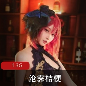 沧霁桔梗资源合集：孙尚香、兔女等精品作品，1.3G视频大小