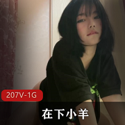 在下小羊抖音视频资源合集，全系列视频，1G大小，20分钟视频数量