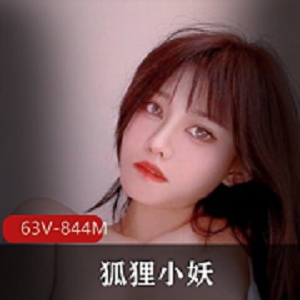 狐狸小妖高清私拍合集844MB