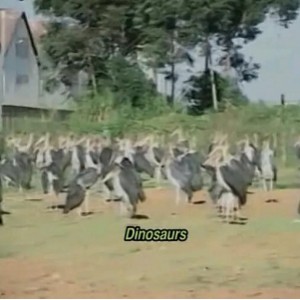 《谁杀死了阿历克斯队长》喜剧动作电影，视频小丑，埃米，350万点击量