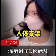 抖音风剧情混剪M子L伦绿M14V-3G时长84分资源正能量美女厌倦
