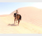 BreakingTheQuietPart2V-5.5G口味重，人与马，棒球元素，超火爆！