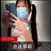 合法妹子2V2.4G
