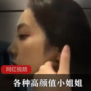 个人收集全网各种高颜值小姐姐作品小合集