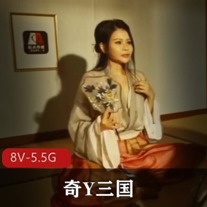 奇Y三国系列资源：8V，5.5G