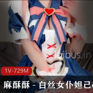 白丝女仆妲己cos速度飞快，1V729M资源量惊人