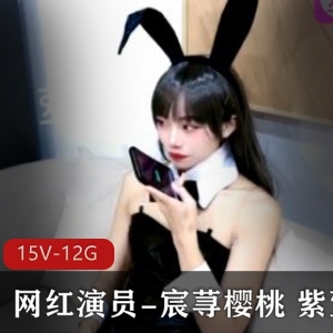 宸荨樱桃：网红演员美颜身材资源15V12.7G下载