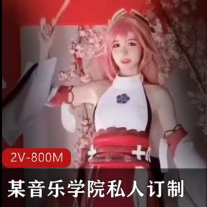 音乐学院私人订制AI-T衣小视频10V-1.4G资源下载