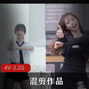 高能舞蹈混剪作品集，时长多样，精品呈现，总计4个资源，2.2G