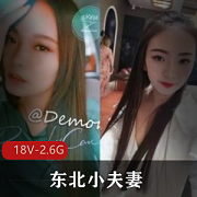 东北小夫妻实力单身视频作品招募小哥伺候媳妇18V2.6G