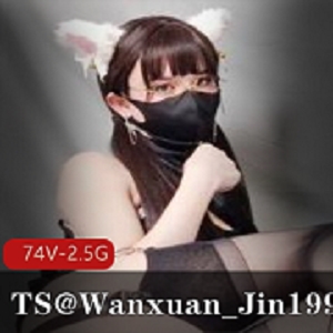 推特新人TS-@Wanxuan_Jin1999合集，74V2.5G，身材尺度伪街展示