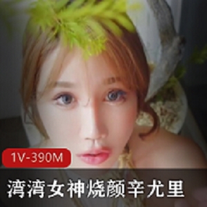 辛尤里模拟剧场作品，战斗见证18CM玩具