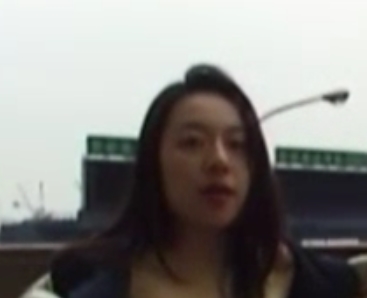 昭和作品珍藏:徐婕的整理合集,百种尺寸作品一网打尽!