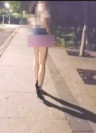 稀缺资源火爆UP主Slutdiary1的指教日记纪录合集41P-21V-6.4GB