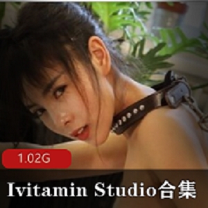 《IvitaminStudio女主角3季合集：颜值、身材、玉兔细腰翘臀长腿，表现力、姿势、体位、表情》1.02G