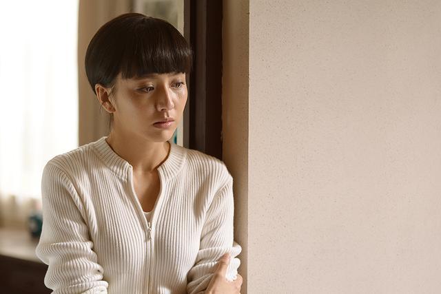 《平凡的世界:探索和谐的精品资源,无需回复》