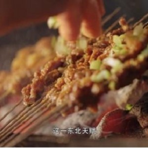 豆瓣8.9纪录片《人生一串》1-2季完整全集，阿里云视频跨平台观看